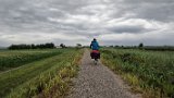 IMG 1983a