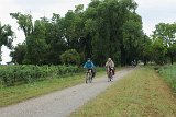 IMG 1984
