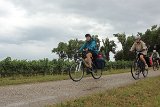 IMG 1985