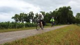 IMG 1986