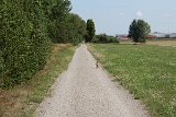 IMG 3346