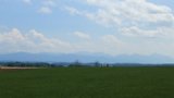 IMG 3361