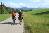 IMG 3374