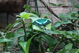 IMG 3484