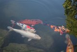 IMG 3496
