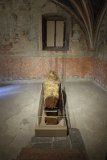 IMG 3562