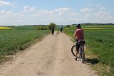 IMG 1062