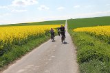 IMG 1081