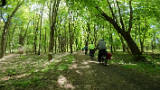 vlcsnap-2025-04-28-15h00m39s107