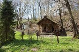 IMG 3060