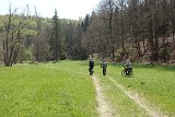 IMG 3064
