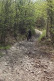 IMG 3078
