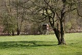 IMG 3079