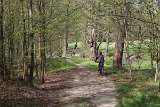 IMG 3080