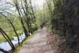 IMG 3081