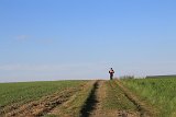 IMG 3089