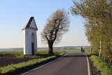 IMG 3101
