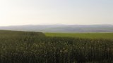 IMG 3102