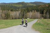 IMG 3105