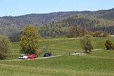 IMG 3108