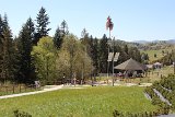 IMG 3123