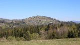 IMG 3133