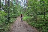 IMG 3181