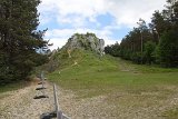 IMG 3184