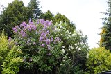 IMG 3197