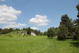 IMG 3199