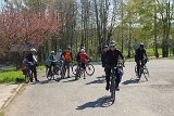 IMG 2995