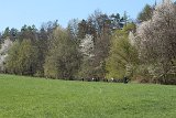 IMG 2998