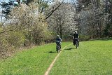 IMG 3000