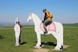 IMG 3006
