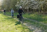 IMG 3013