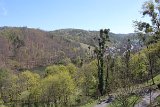 IMG 3029