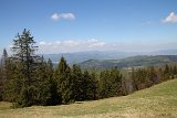 IMG 3157