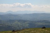 IMG 3168