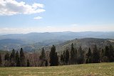 IMG 3169